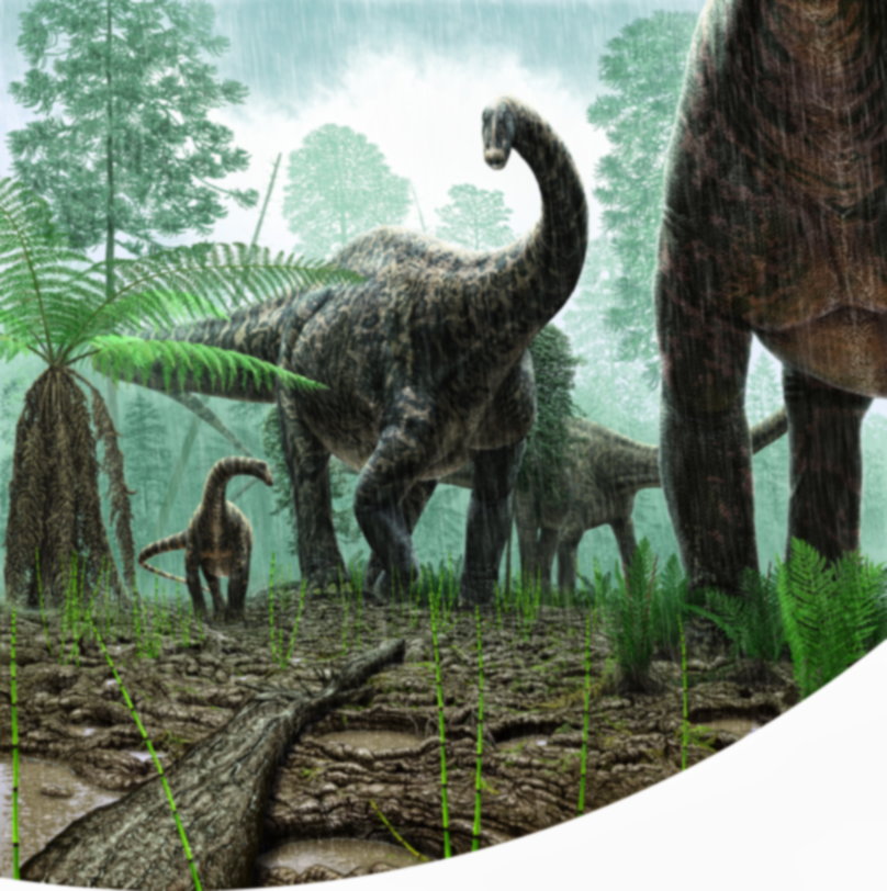 Jurassic paleoart mural showing Diplodocus in a rainy landscape