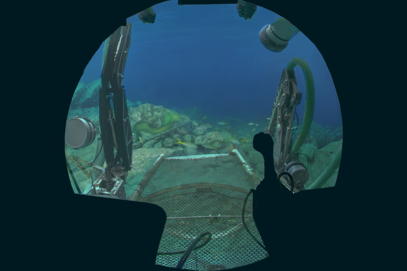Deep-sea submersible and reef exploration imagery